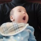 松鼠洞