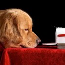 用户43501473的头像-博士钣金 - www.bsbanjin.com