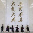 C龙极