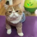 吴焕彩
