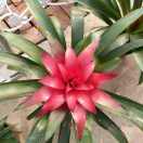 风生水起（老五）