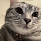 Esther的头像-秀琴曲谱网