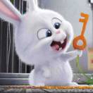 crazyrandom's Avatar