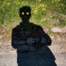 lmlynlzqxjfm_161