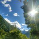 用户55047815的头像-WordPress主题模板-zibll子比主题