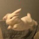 彭先生的头像