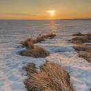 券妈妈会员: 🍁夜冰🍁