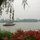 wx_fushan97