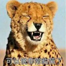 小花今天瘦了吗