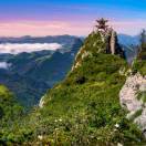 马如意13884023368