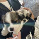 Your Tribe South Bermondsey转租