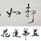 赵*