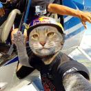 🐾小、哥哥💉