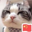 其实很斯文