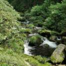 Hubery_W的头像-资源工坊