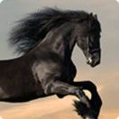 JimmyFan's Avatar