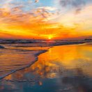 Inge旅盆友的钢琴谱