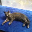 用户79439216-博士钣金 - www.bsbanjin.com