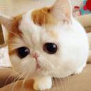 _し零下37℃嘚心温的头像-博士钣金 - www.bsbanjin.com