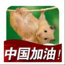 丁震的头像