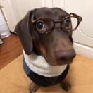 Theo转租&房东直租