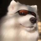 da's Avatar