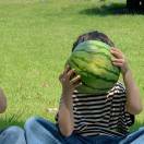 从绮的头像-博士钣金 - www.bsbanjin.com