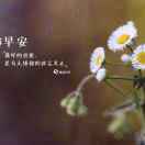 倦鸟归林