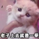 迷路时你就往前走