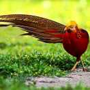 看一的头像-cg男孩