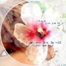 Iris_555