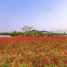 用户18561716的头像-熵减岛