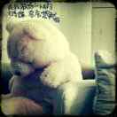 唐寧?kù)戏?高磊