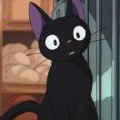 还是不改名的头像-秀琴曲谱网