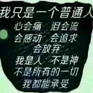 朱女士的头像