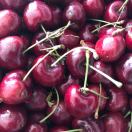 马萧的头像-汇聚千年易学精髓，尽在知蛛玄机