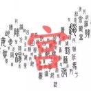 毛女士的头像