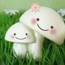 枫叶🍁的头像-工欲善其事，必先利其器宋辞云创