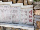 高山綠茶