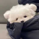 熊玉堂