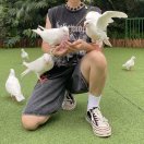 wx_看看48