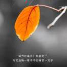 高先生的头像
