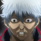 有剧毒的小伙伴