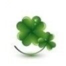 sheldon1986的头像好创网-专注优质VIP网课 网络创业落地实操课程资源分享 – 每天更新_高质量项目输出好创网