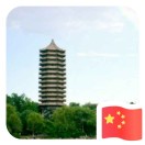 小海豚_66766067