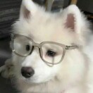 用户头标