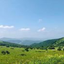 T、🇨🇳的头像-深度文库