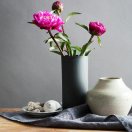 桅子花开