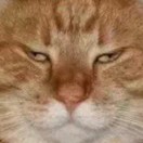 我的我的我的天