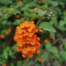 saney的头像-熵减岛